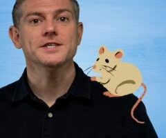 Could gut parasites be influencing your behaviour?